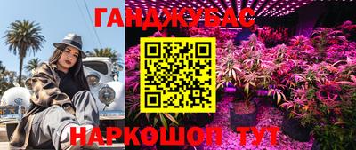 стаф Новозыбков