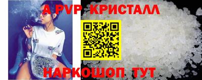 стаф Новозыбков