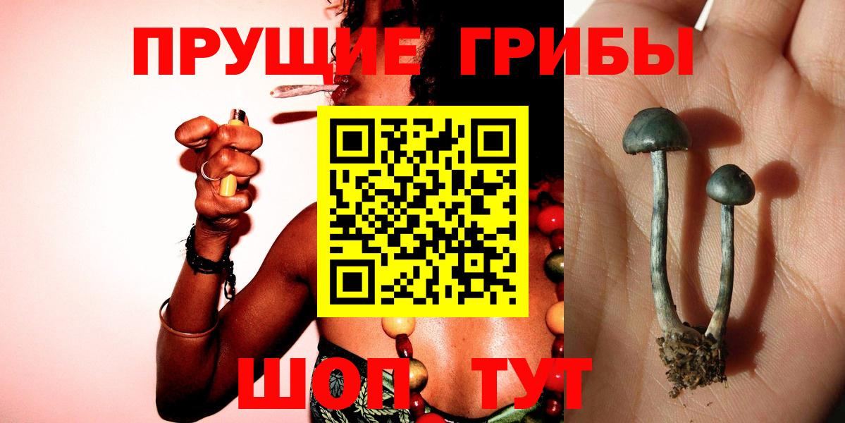 Чапаевск  Псилоцибиновые грибы мицелий  Вход с VPN 